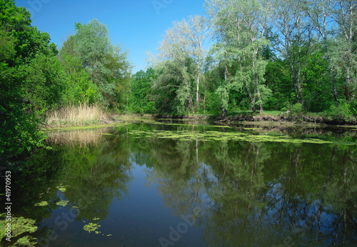 View on the river   spring .Ukraine.