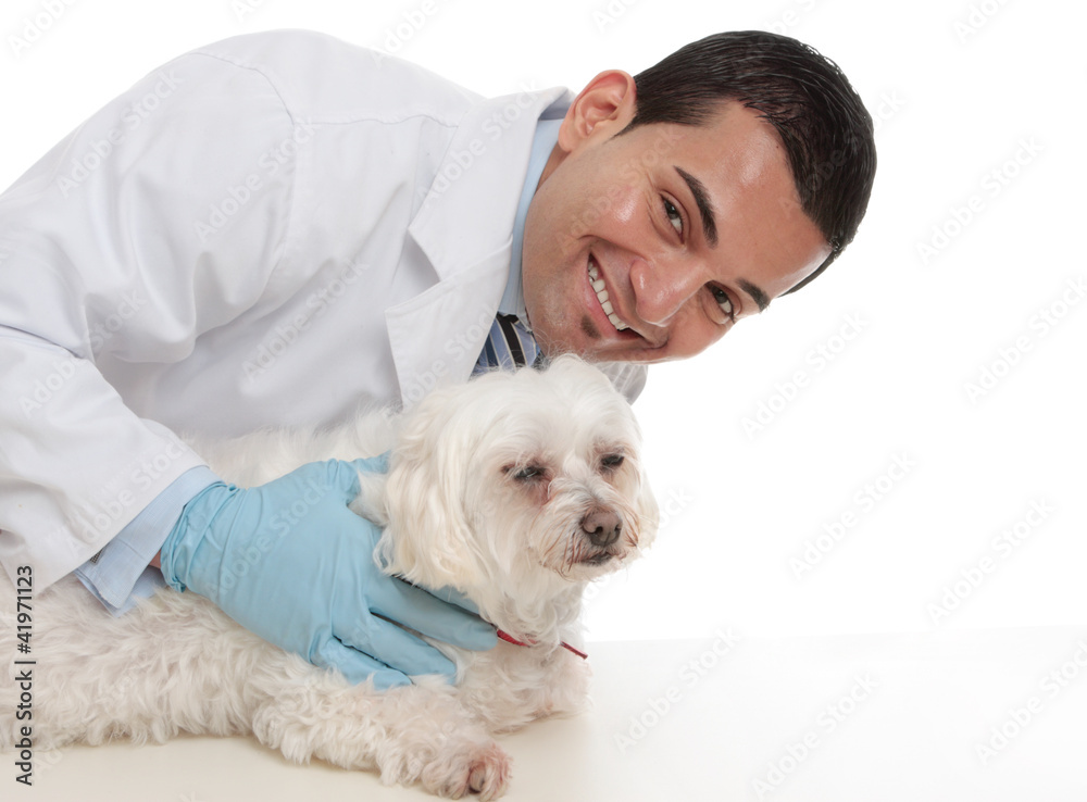Friendly caring vet with a sick animal Friendly caring vet with a sick animal