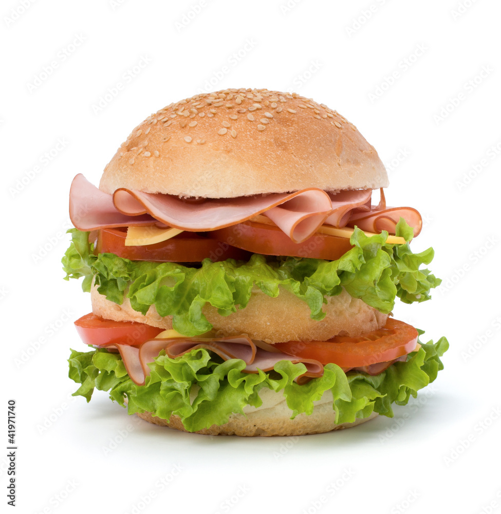 Junk food hamburger Junk food hamburger