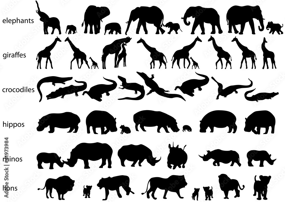 Fototapeta premium Wild animals