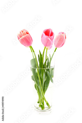 flowers isolated on white. tulips