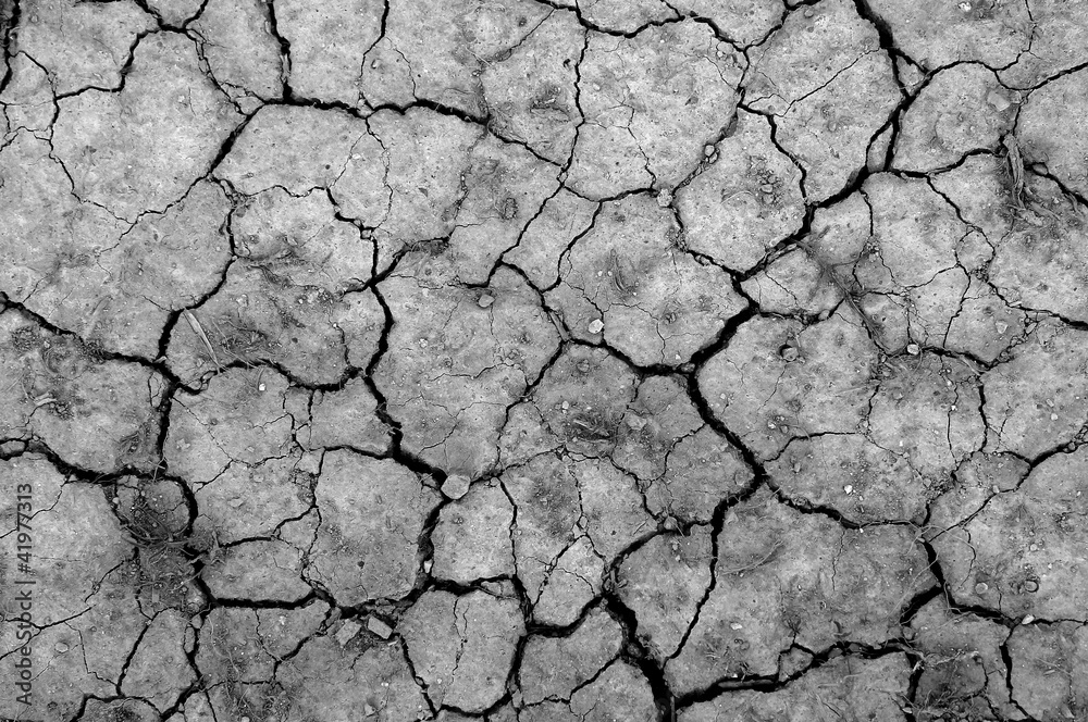 The gray ground with cracks texture. The gray ground with cracks texture.