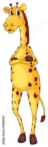 Cute giraffe