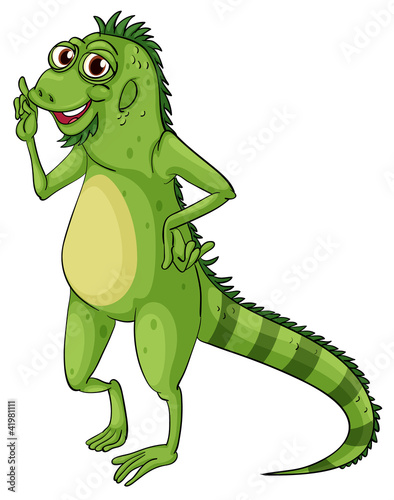 Green iguana