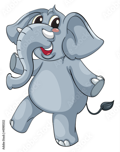 Cute elephant