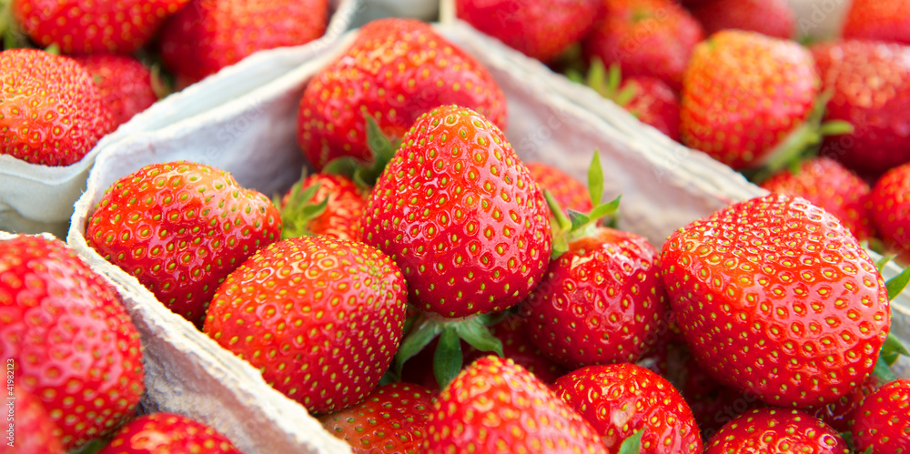 Erdbeeren Erdbeeren