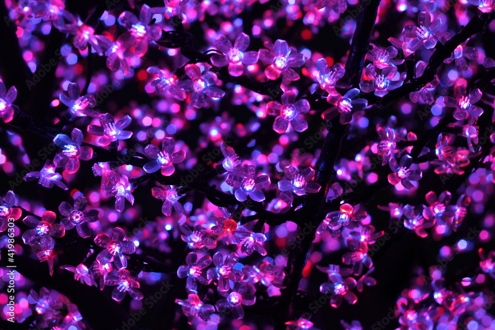 Fototapeta Violettes led
