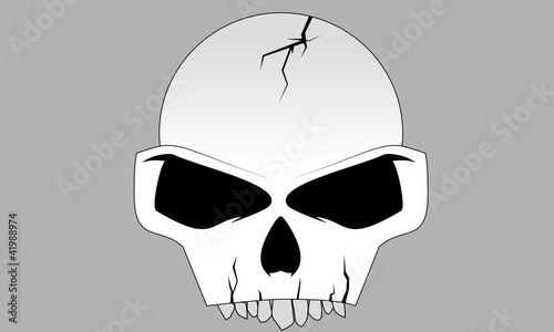 Skull
