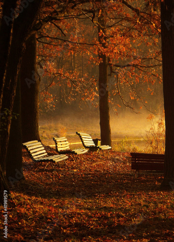 ławki w parku jesienią