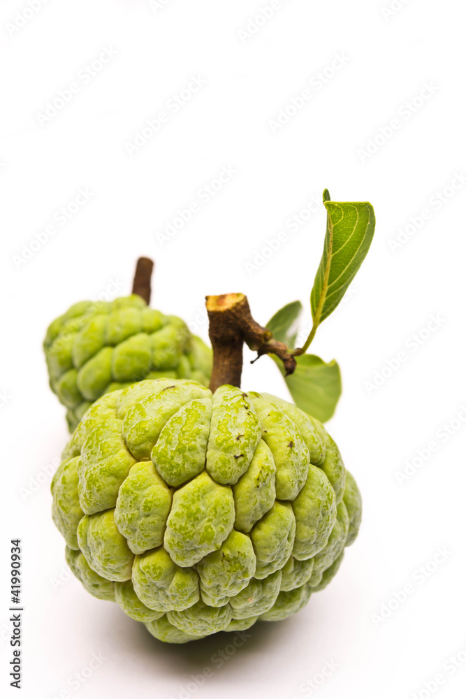 Fototapeta premium custard apple