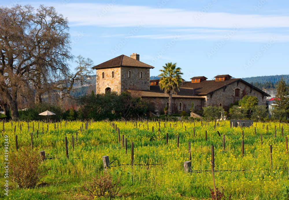Obraz premium Napa Valley vineyard at sunset