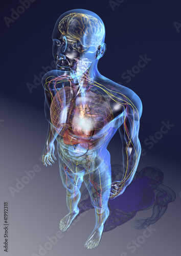 Der gläserne Mensch