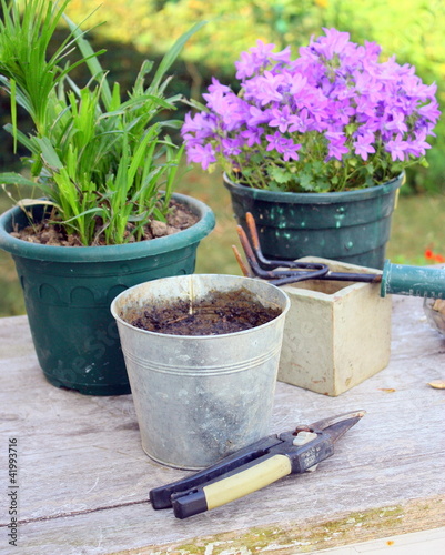 rempotage  et jardinage