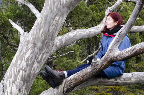 Woman in  tree. Cradle Mountain, Tasmania, Australia