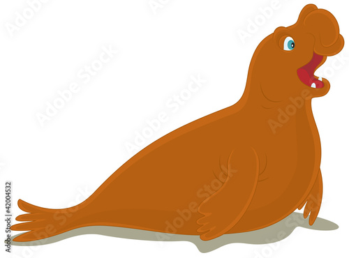 Sea elephant