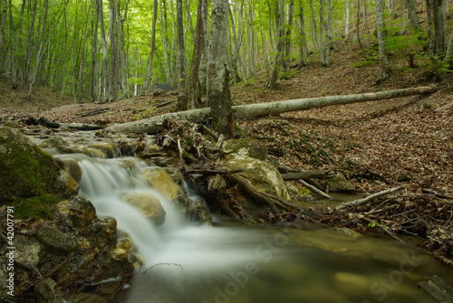 beautiful landscape with a mountain river in Crimea