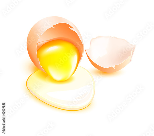 Brown broken egg with flowing yolk on white background