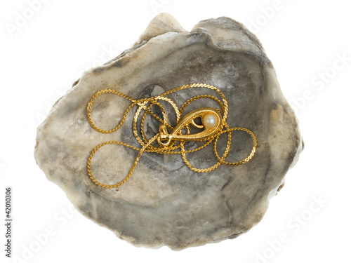 Golden necklace with a pearl in a oystershell photo