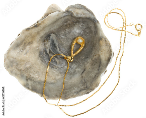 Golden necklace with a pearl in a oystershell photo