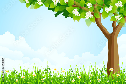 Green Landscape with  Tree