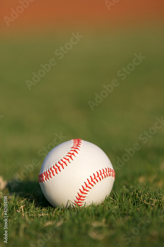 Baseball on the Field