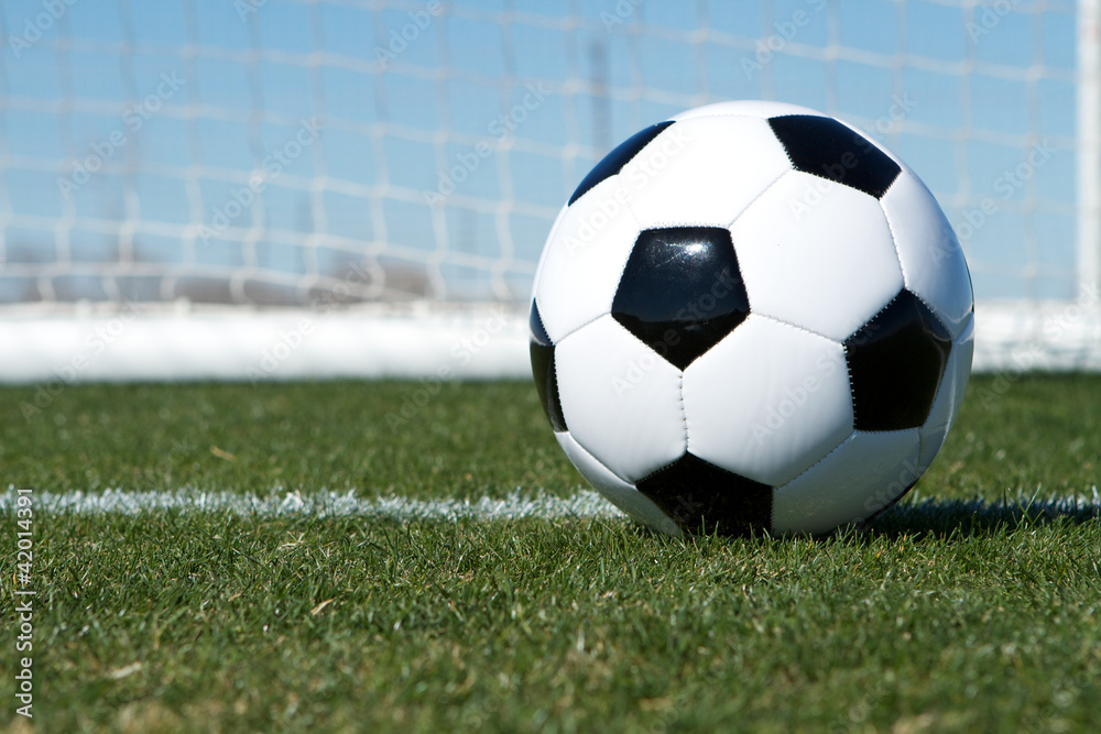Fototapeta premium Soccer Ball near the Goal