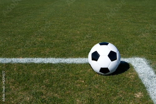 Soccer Ball on the Field