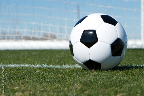 Soccer Ball near the Goal © 33ft