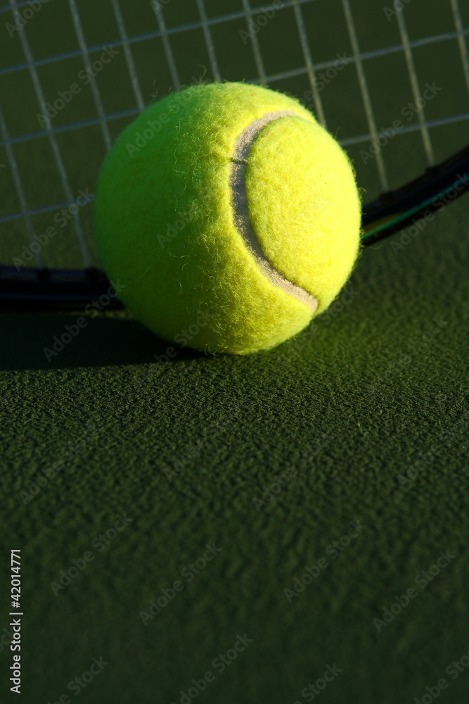 Tennis Ball Close Up