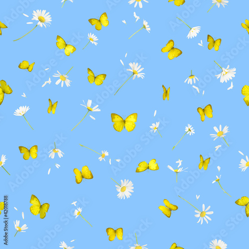 Seamless butteflies and daisies