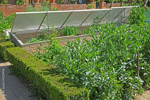 Tableau sur toile potager et chassis de plantation