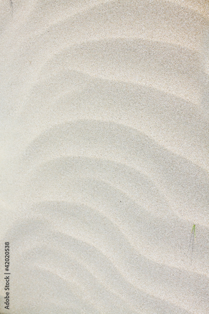 Obraz premium Patterns on the sand