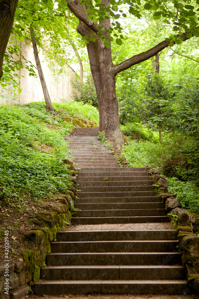 Fototapeta premium schody w parku