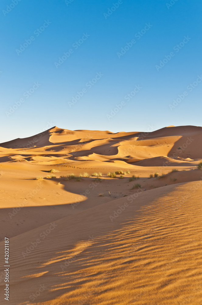 Dunes of Erg Chebbi at Morocco