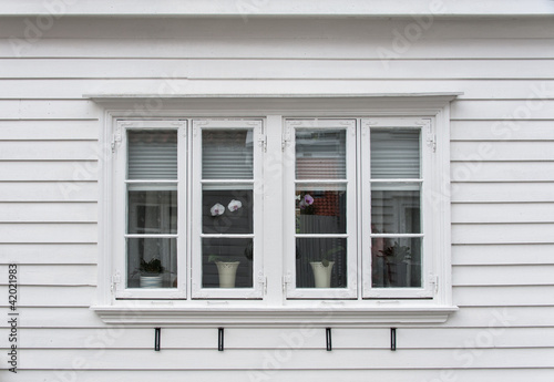 Windows with flowers