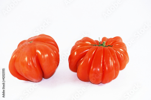 Foto Des tomates Marmande sur fond blanc