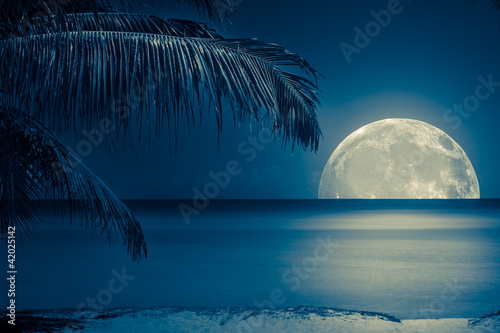 Moon reflected on the water of a tropical beach #42025142