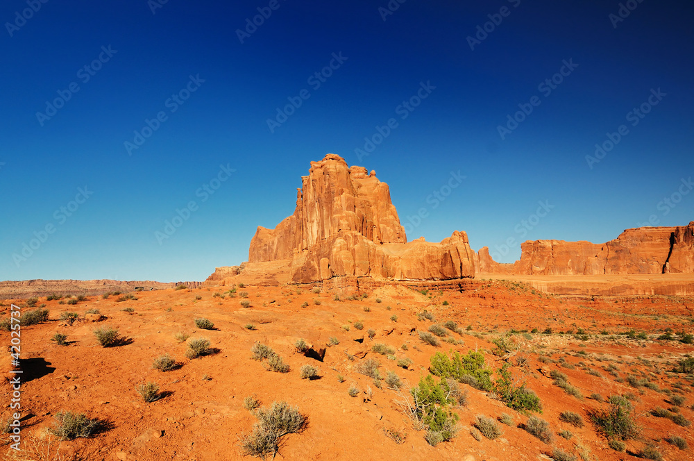 Fototapeta premium A view of Park Avenue