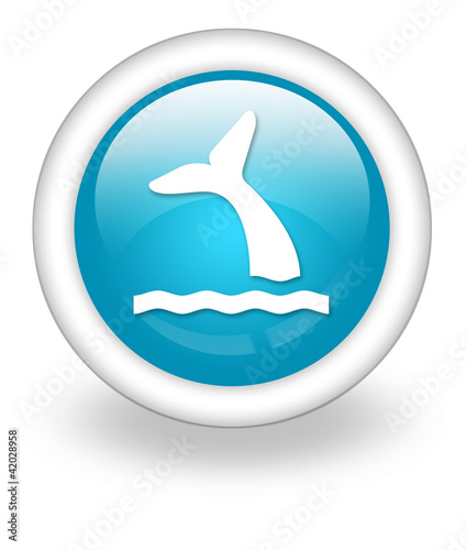 Light Blue Icon  Whale 