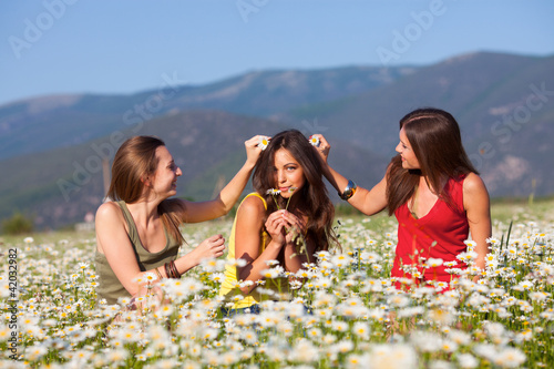 Three girls on camomile field