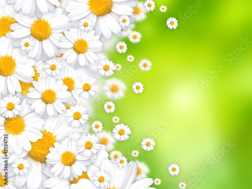 spring flowers beautiful background