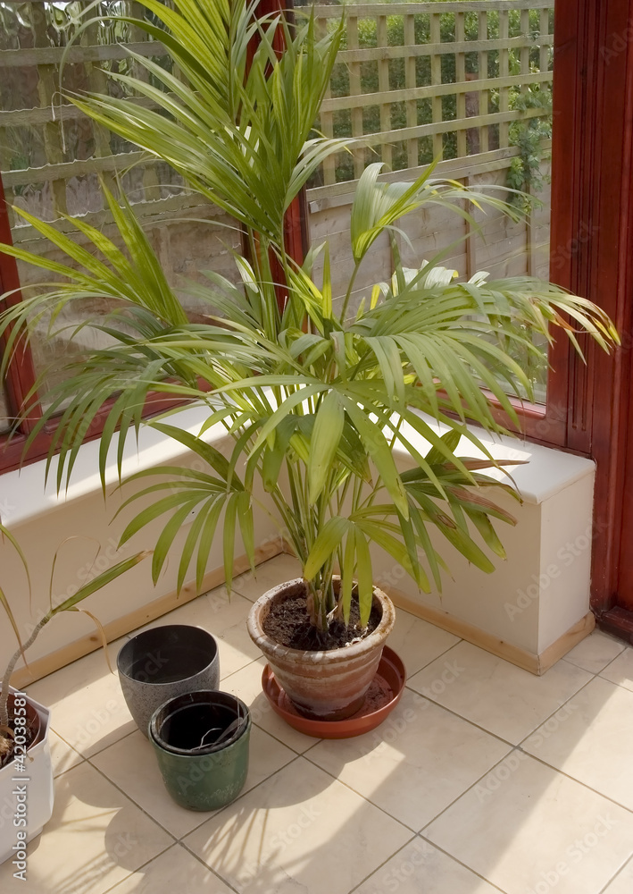 conservatory conservatory