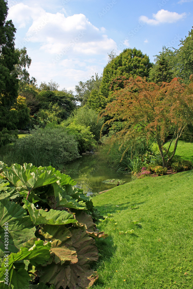 stream in garden stream in garden