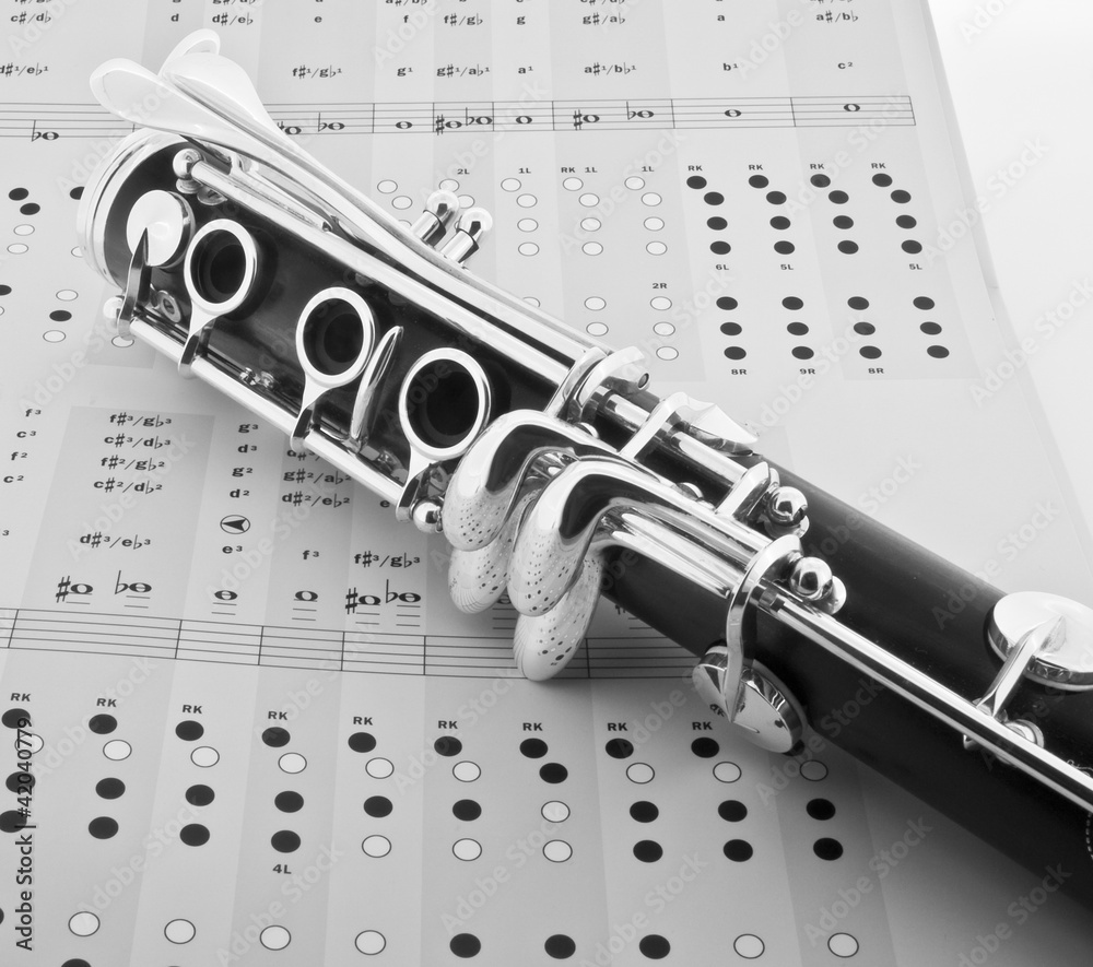 Obraz premium clarinet