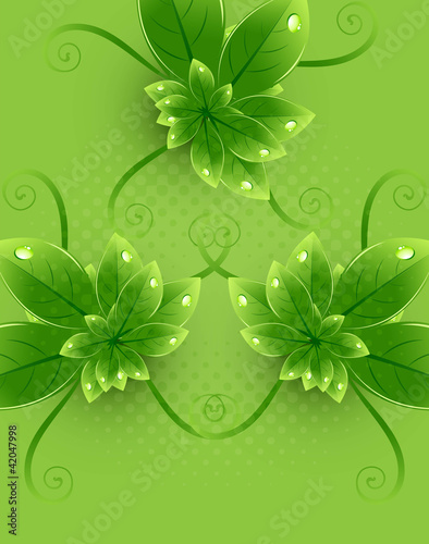 abstract nature leaf ecology colorful green bright vector