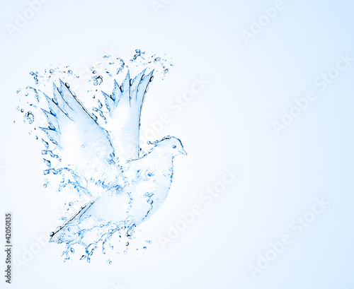 dove made out of water splashes