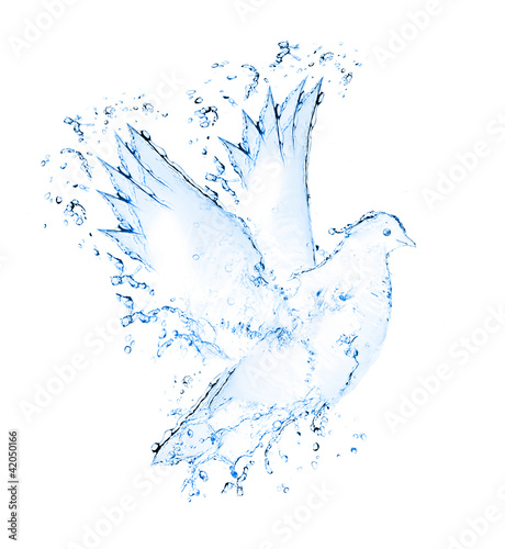 dove made out of water splashes