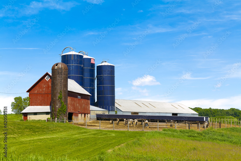 Obraz premium American Countryside