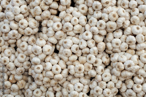 Garlic on market