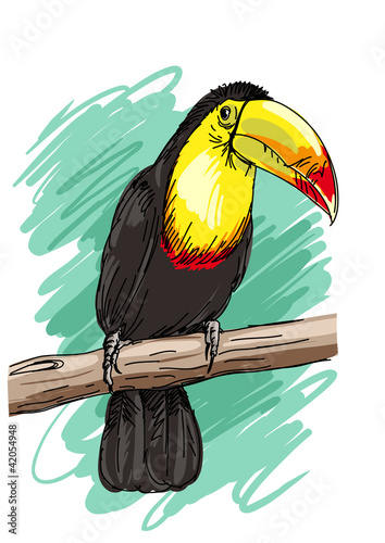 Toucan